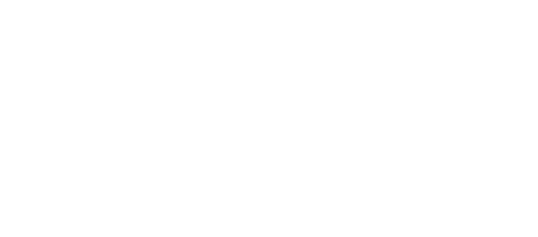 Vondel Excellence